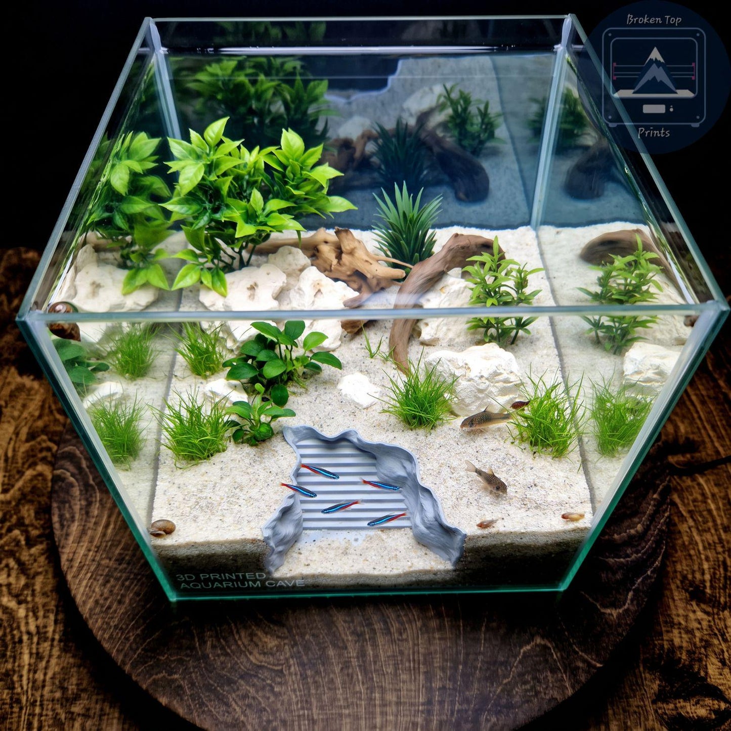 Aquarium Cave, Substrate Tunnel and Fish Shelter | Seaside Stairway Hide, 3D Printed PETG Aquascape Décor for Shrimp & Plecos