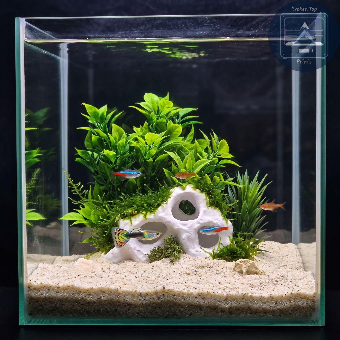 Aquarium Cave, Terrarium Hide, MoonRock Hide, 3D Printed PETG Fish Shelter, Shrimp Hideout, Gecko & Reptile Cave, Aquascape Decor