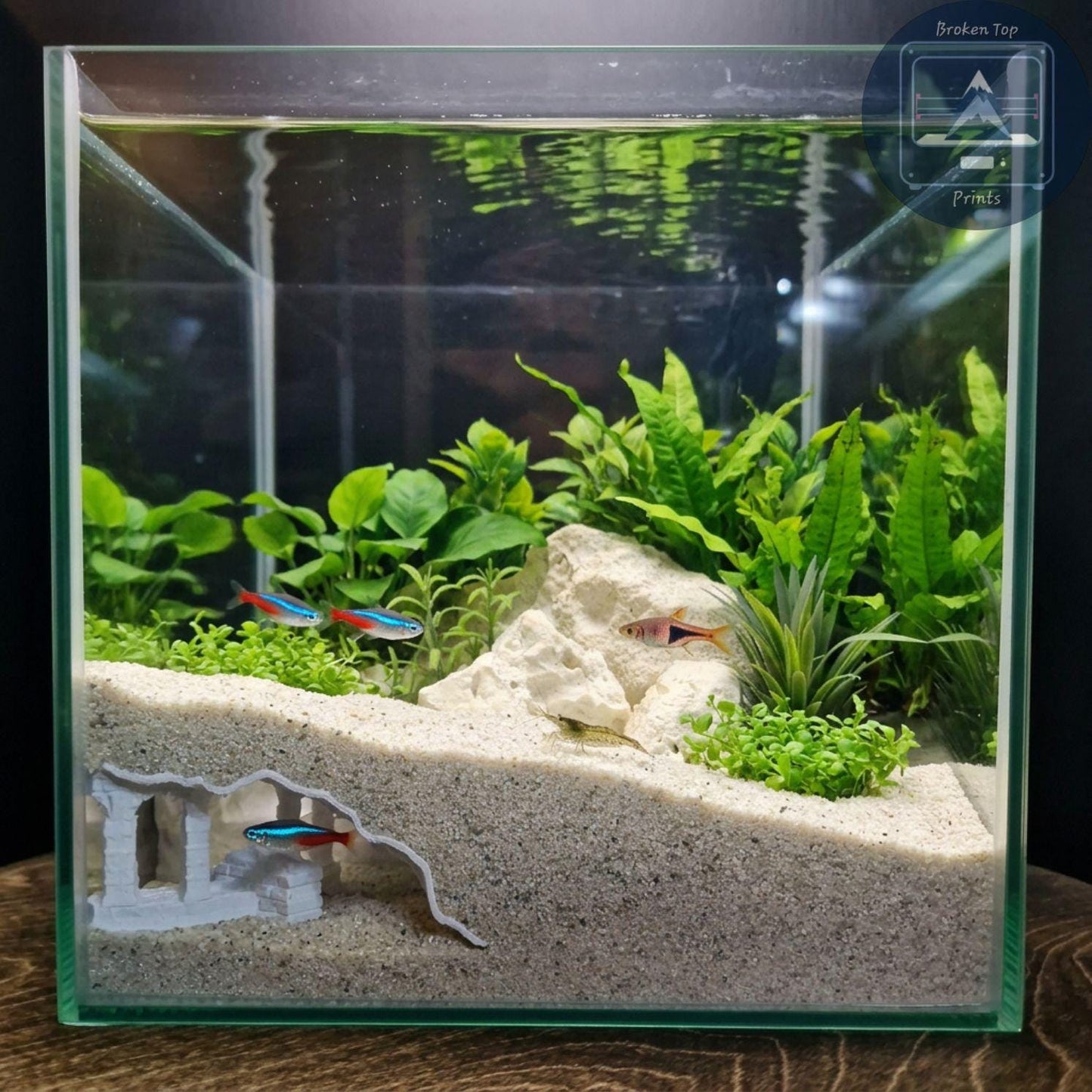 Aquarium Cave, Substrate Tunnel | Old Ruins Underground Hideout | 3D Printed PETG Fish Shelter for Shrimp, Bettas & Plecos