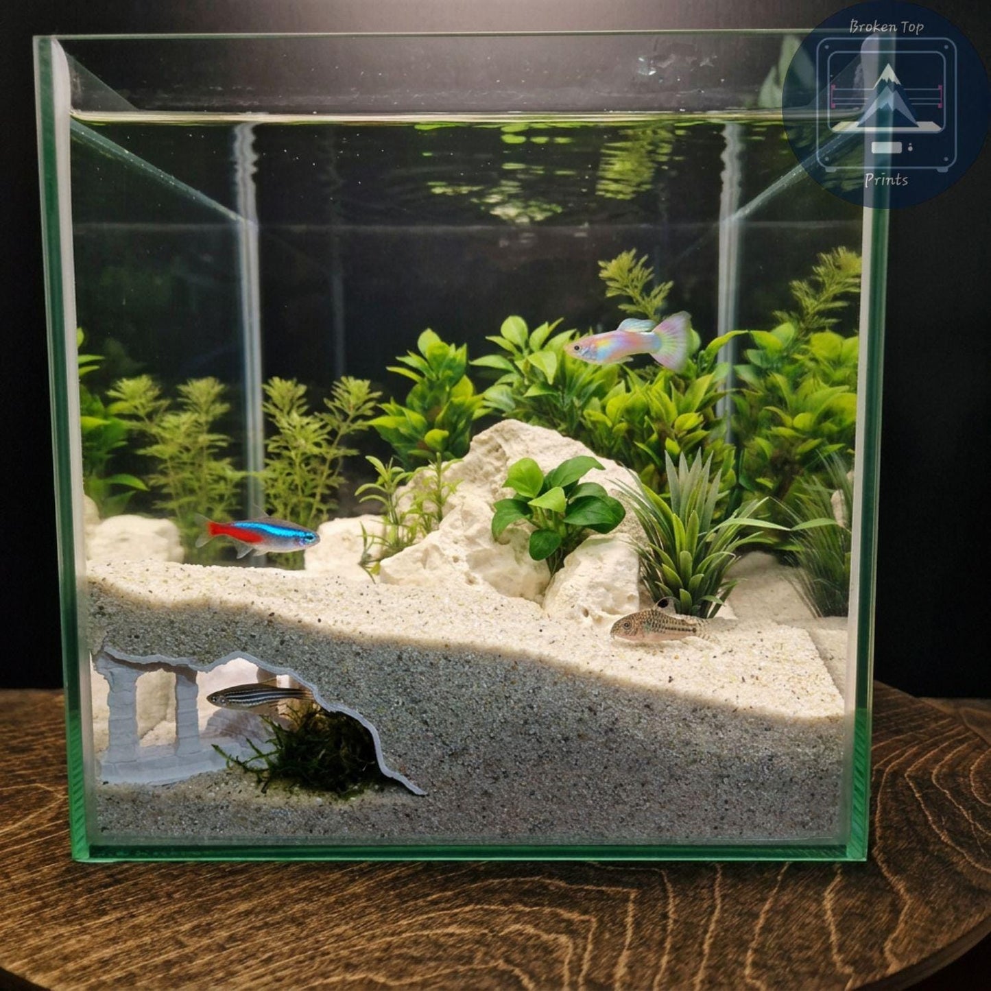 Aquarium Cave, Substrate Tunnel | Old Ruins Underground Hideout | 3D Printed PETG Fish Shelter for Shrimp, Bettas & Plecos
