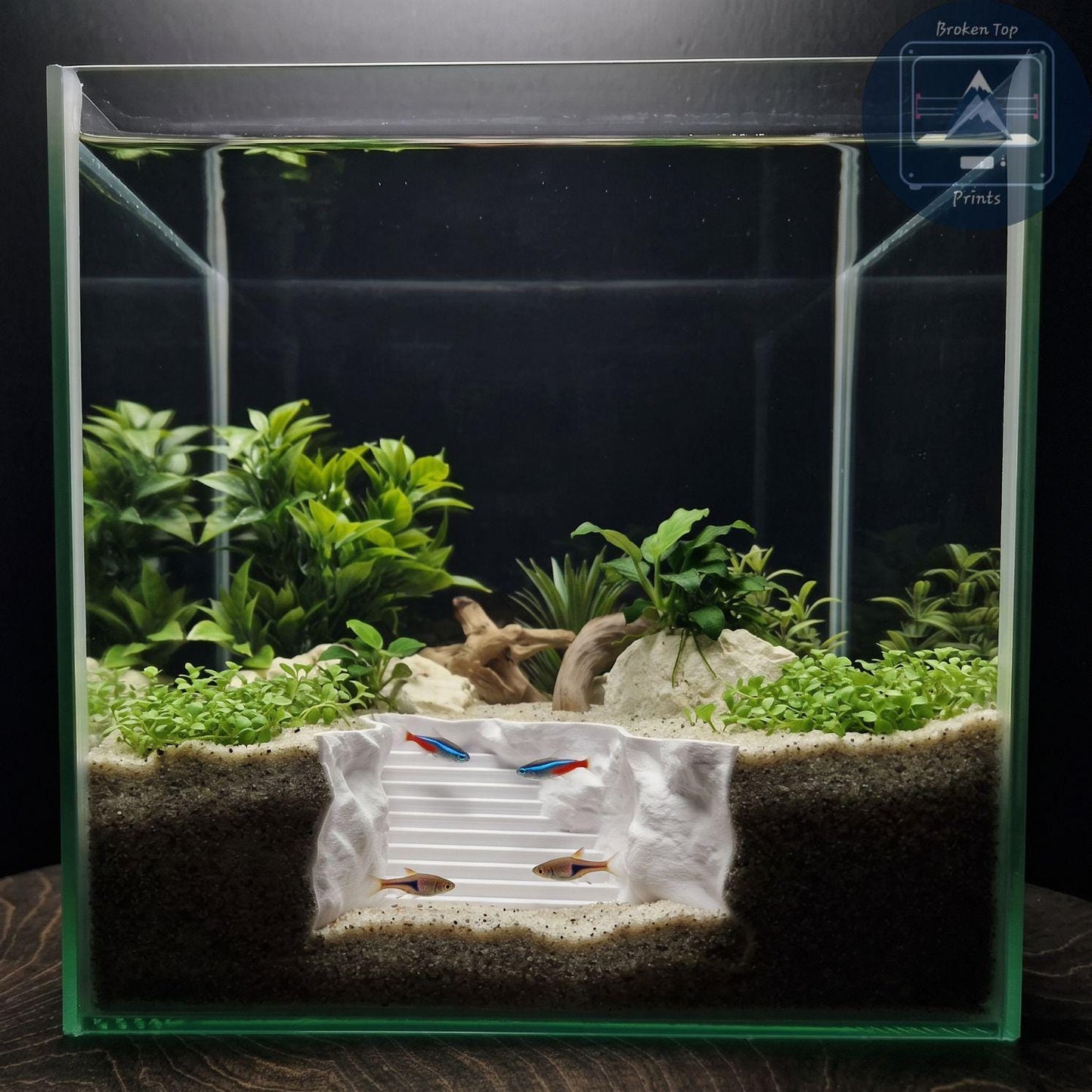 Aquarium Cave, Substrate Tunnel and Fish Shelter | Seaside Stairway Hide, 3D Printed PETG Aquascape Décor for Shrimp & Plecos