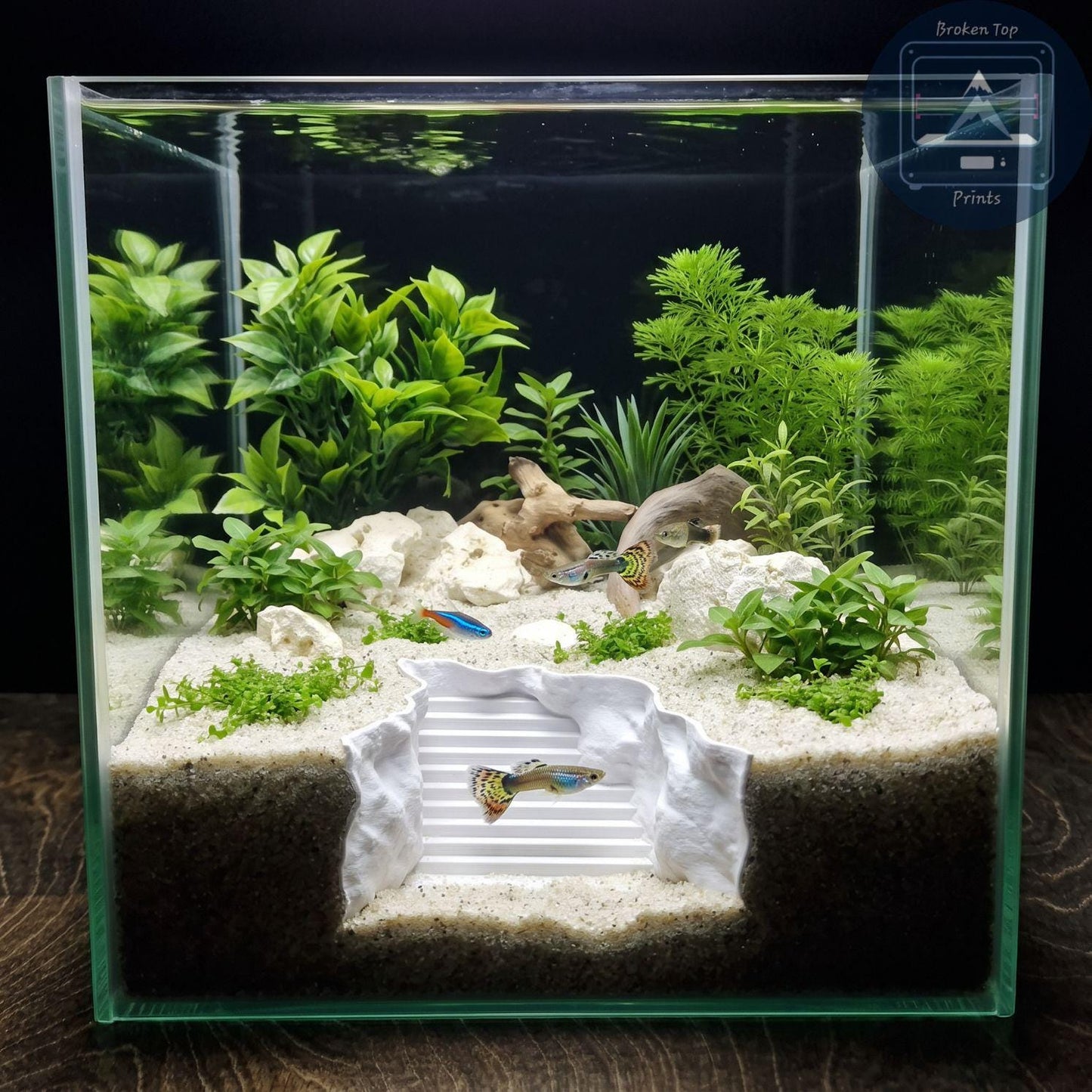 Aquarium Cave, Substrate Tunnel and Fish Shelter | Seaside Stairway Hide, 3D Printed PETG Aquascape Décor for Shrimp & Plecos