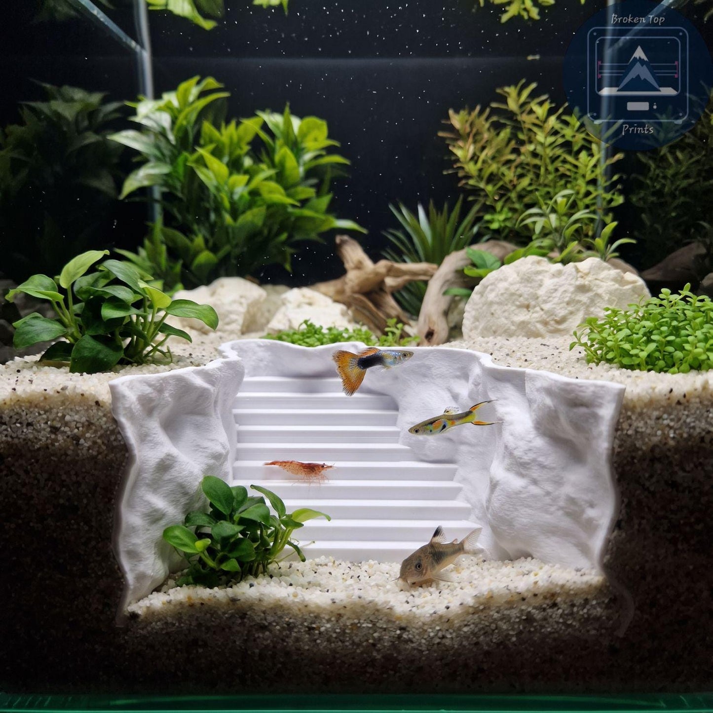 Aquarium Cave, Substrate Tunnel and Fish Shelter | Seaside Stairway Hide, 3D Printed PETG Aquascape Décor for Shrimp & Plecos