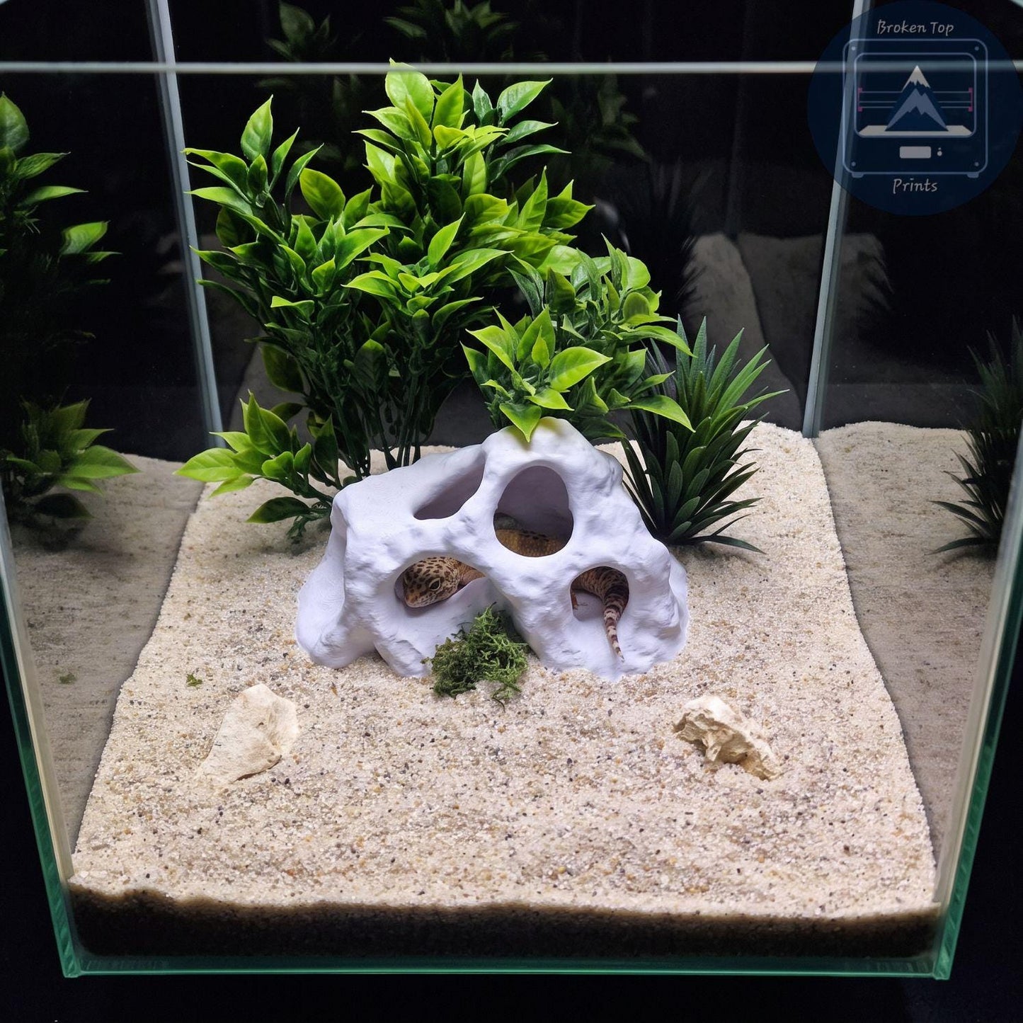 Aquarium Cave, Terrarium Hide, MoonRock Hide, 3D Printed PETG Fish Shelter, Shrimp Hideout, Gecko & Reptile Cave, Aquascape Decor